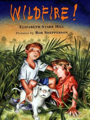 cover image of Wildfire!